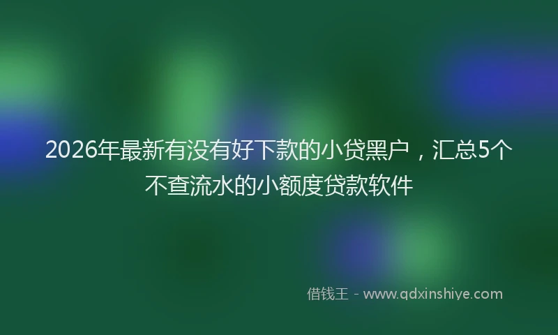 2026年最新有没有好下款的小贷黑户，汇总5个不查流水的小额度贷款软件