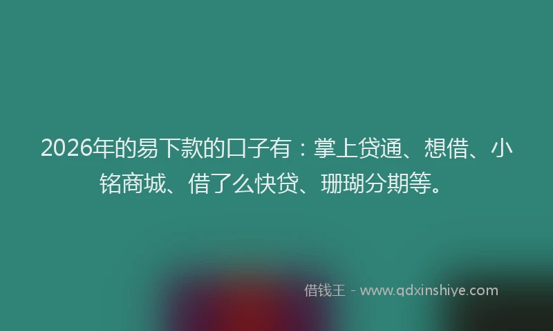 2026年的易下款的口子有：掌上贷通、想借、小铭商城、借了么快贷、珊瑚分期等。