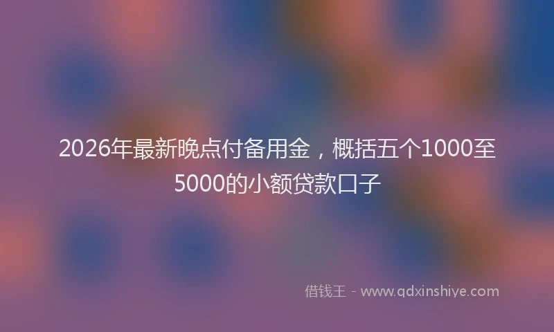 2026年最新晚点付备用金，概括五个1000至5000的小额贷款口子
