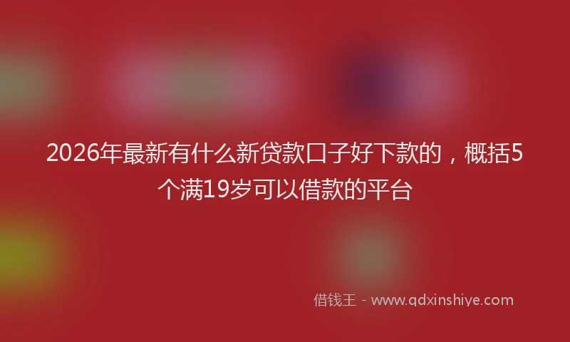 2026年最新有什么新贷款口子好下款的，概括5个满19岁可以借款的平台