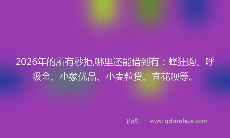 2026年的所有秒拒,哪里还能借到有：蜂狂购、呼吸金、小象优品、小麦粒贷、宜花呗等。