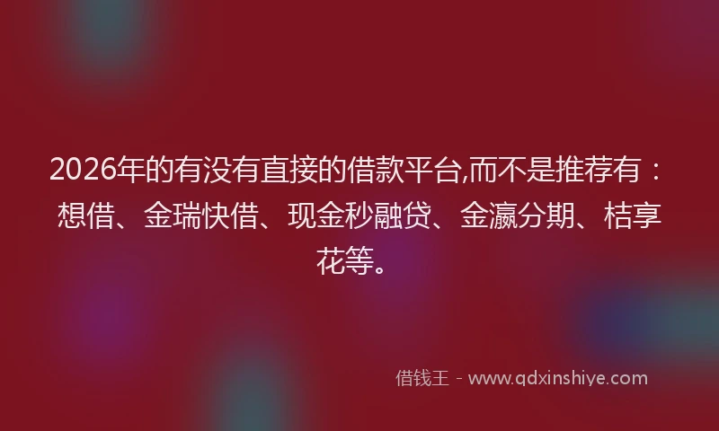 2026年的有没有直接的借款平台,而不是推荐有：想借、金瑞快借、现金秒融贷、金瀛分期、桔享花等。