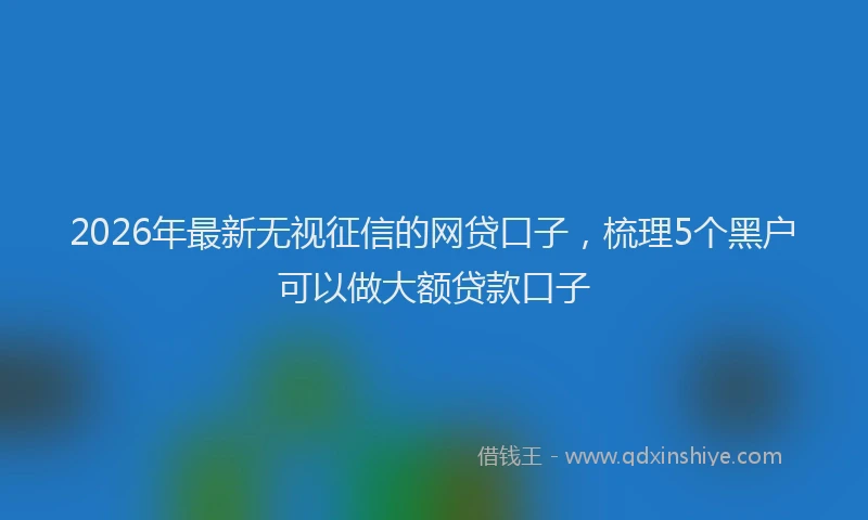 2026年最新无视征信的网贷口子，梳理5个黑户可以做大额贷款口子