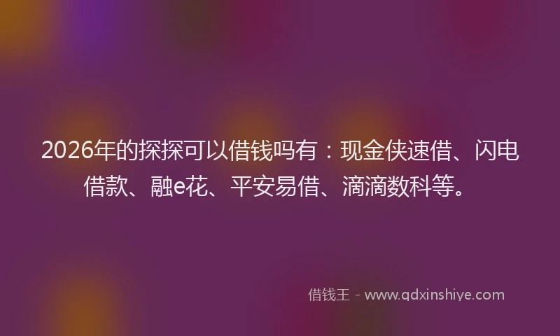 2026年的探探可以借钱吗有：现金侠速借、闪电借款、融e花、平安易借、滴滴数科等。