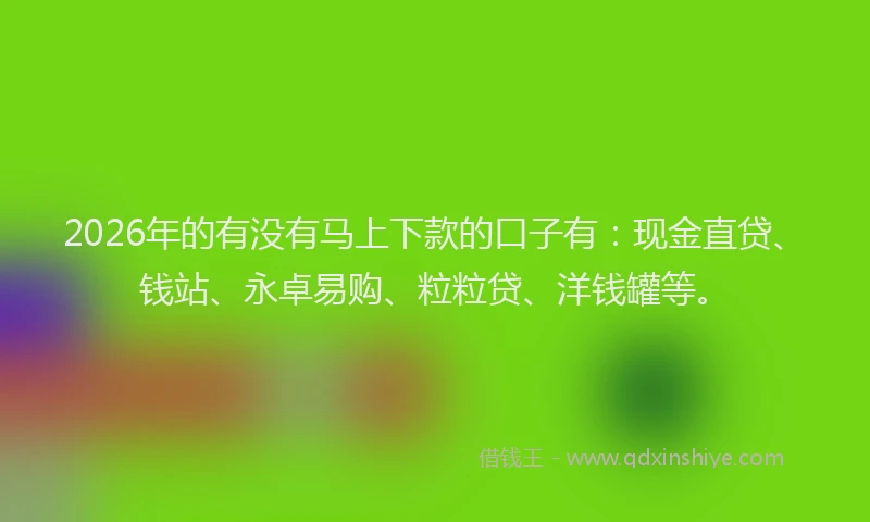 2026年的有没有马上下款的口子有：现金直贷、钱站、永卓易购、粒粒贷、洋钱罐等。
