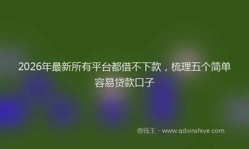 2026年最新所有平台都借不下款，梳理五个简单容易贷款口子