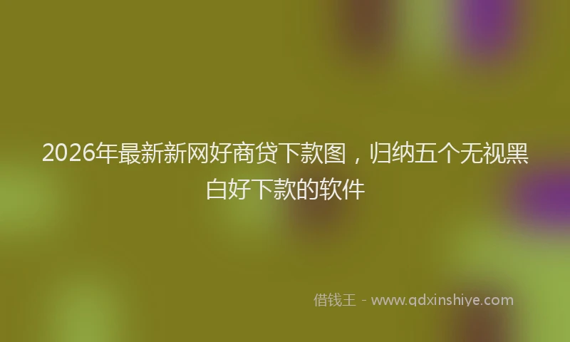2026年最新新网好商贷下款图，归纳五个无视黑白好下款的软件