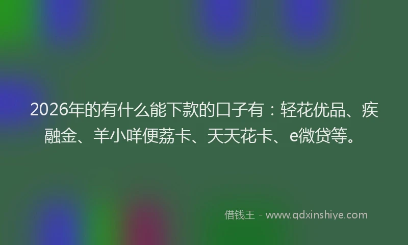 2026年的有什么能下款的口子有：轻花优品、疾融金、羊小咩便荔卡、天天花卡、e微贷等。