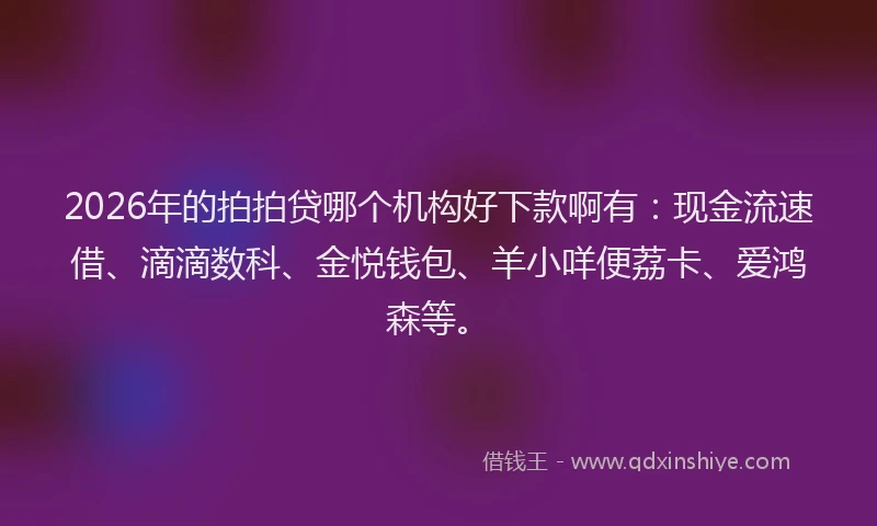 2026年的拍拍贷哪个机构好下款啊有：现金流速借、滴滴数科、金悦钱包、羊小咩便荔卡、爱鸿森等。