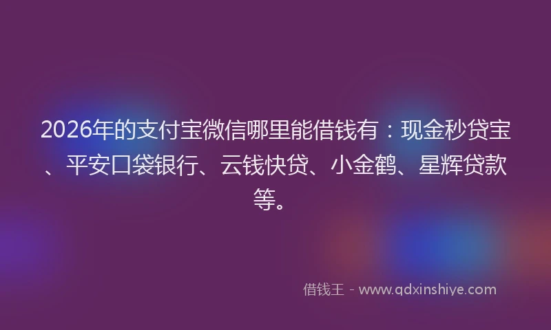 2026年的支付宝微信哪里能借钱有：现金秒贷宝、平安口袋银行、云钱快贷、小金鹤、星辉贷款等。