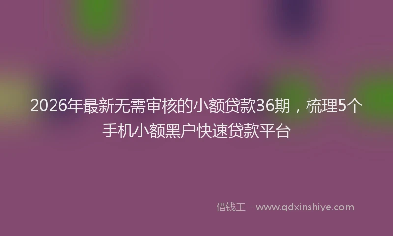 2026年最新无需审核的小额贷款36期，梳理5个手机小额黑户快速贷款平台