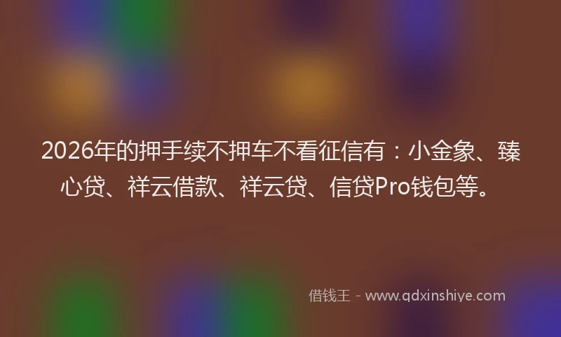 2026年的押手续不押车不看征信有：小金象、臻心贷、祥云借款、祥云贷、信贷Pro钱包等。