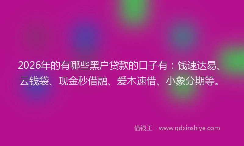 2026年的有哪些黑户贷款的口子有：钱速达易、云钱袋、现金秒借融、爱木速借、小象分期等。