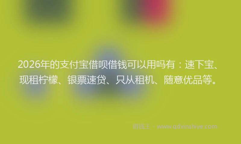 2026年的支付宝借呗借钱可以用吗有：速下宝、现租柠檬、银票速贷、只从租机、随意优品等。