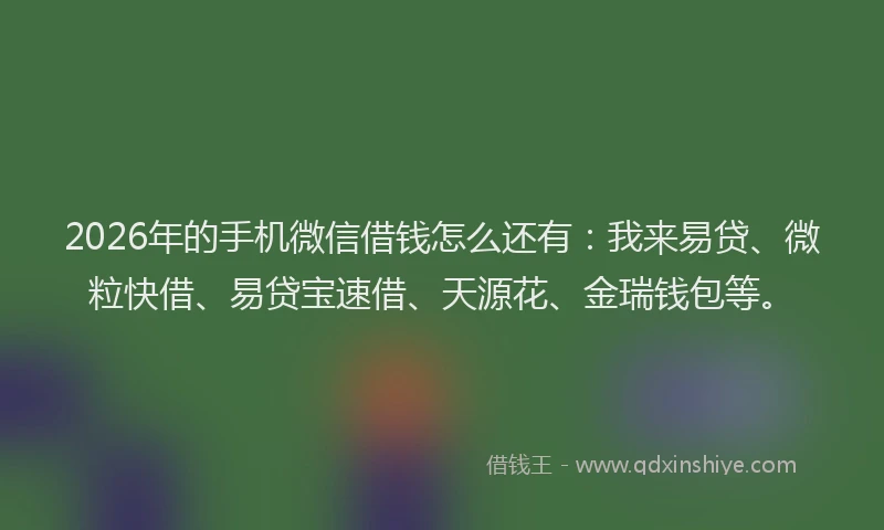 2026年的手机微信借钱怎么还有：我来易贷、微粒快借、易贷宝速借、天源花、金瑞钱包等。