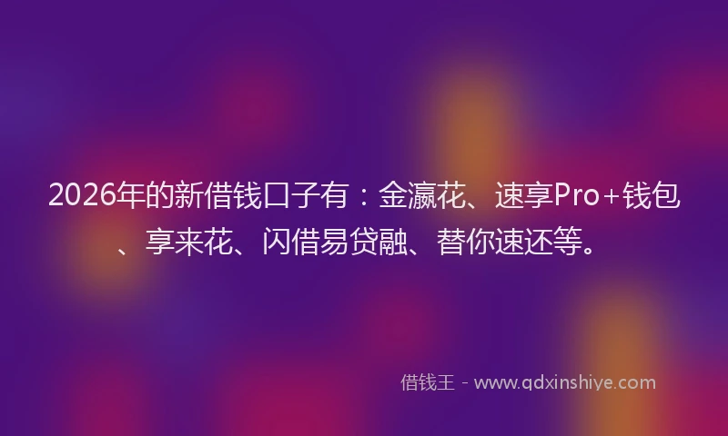 2026年的新借钱口子有：金瀛花、速享Pro+钱包、享来花、闪借易贷融、替你速还等。