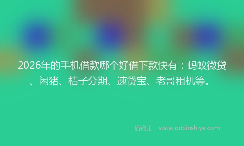 2026年的手机借款哪个好借下款快有：蚂蚁微贷、闲猪、桔子分期、速贷宝、老哥租机等。