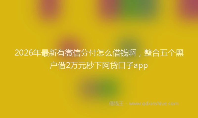 2026年最新有微信分付怎么借钱啊，整合五个黑户借2万元秒下网贷口子app