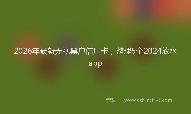2026年最新无视黑户信用卡，整理5个2024放水app