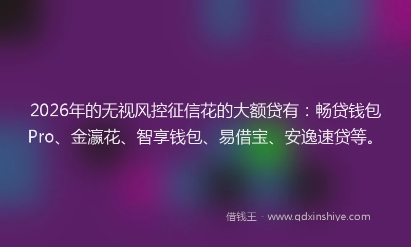 2026年的无视风控征信花的大额贷有：畅贷钱包Pro、金瀛花、智享钱包、易借宝、安逸速贷等。