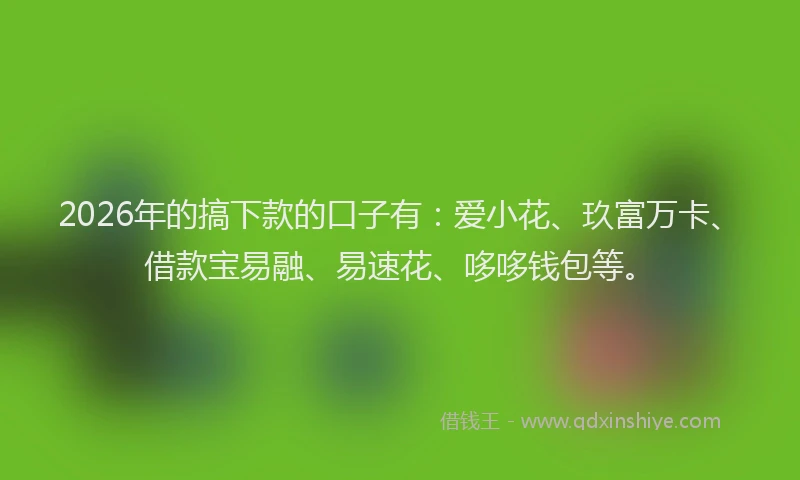 2026年的搞下款的口子有：爱小花、玖富万卡、借款宝易融、易速花、哆哆钱包等。