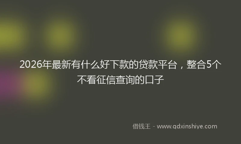 2026年最新有什么好下款的贷款平台，整合5个不看征信查询的口子