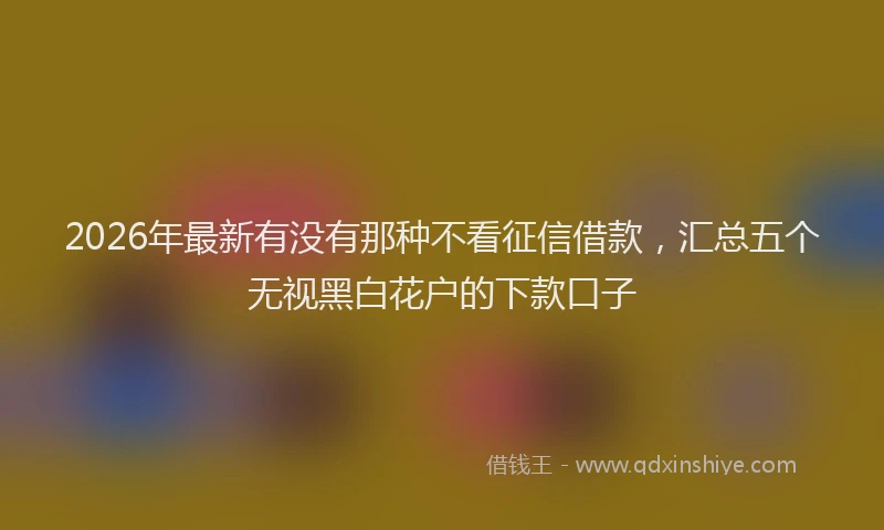 2026年最新有没有那种不看征信借款，汇总五个无视黑白花户的下款口子