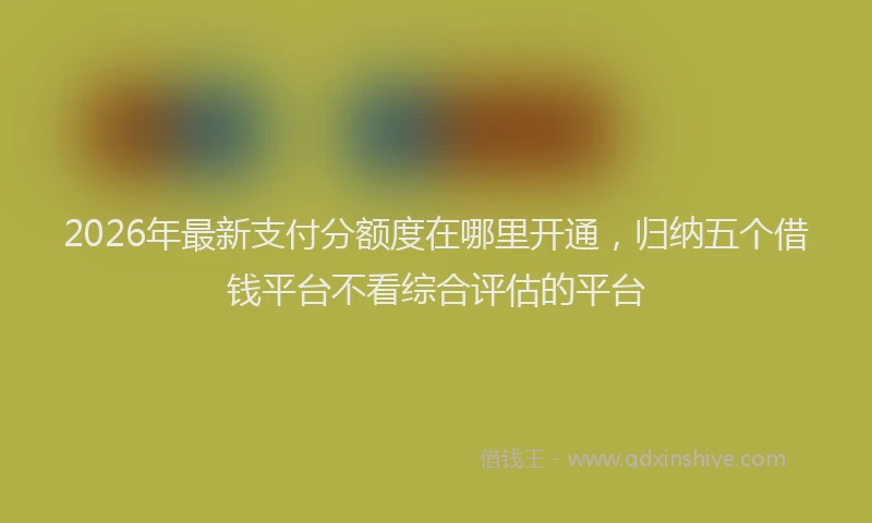 2026年最新支付分额度在哪里开通，归纳五个借钱平台不看综合评估的平台