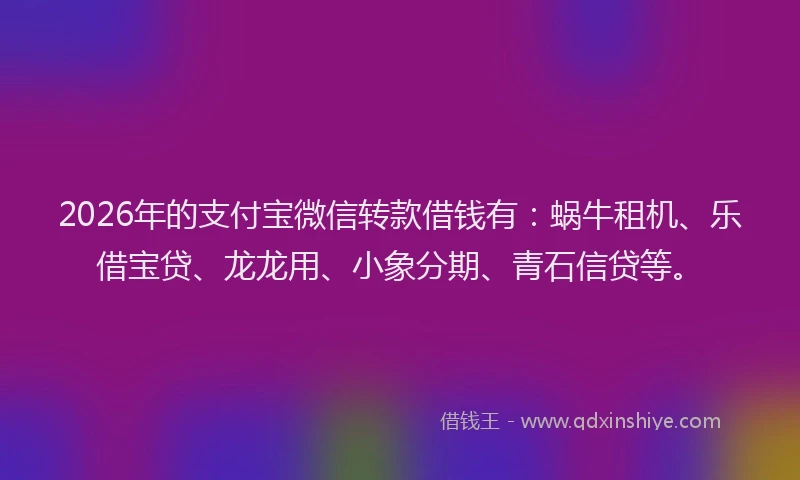 2026年的支付宝微信转款借钱有：蜗牛租机、乐借宝贷、龙龙用、小象分期、青石信贷等。