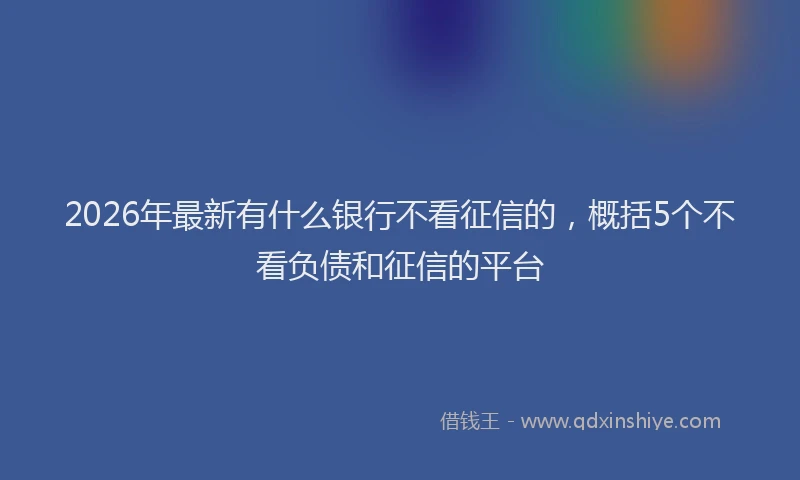 2026年最新有什么银行不看征信的，概括5个不看负债和征信的平台