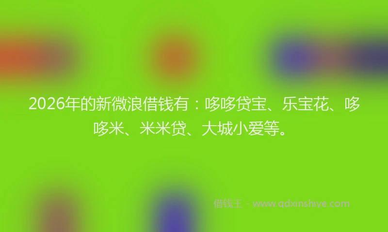 2026年的新微浪借钱有：哆哆贷宝、乐宝花、哆哆米、米米贷、大城小爱等。