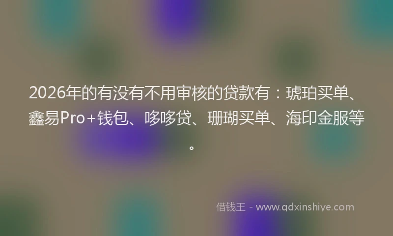 2026年的有没有不用审核的贷款有：琥珀买单、鑫易Pro+钱包、哆哆贷、珊瑚买单、海印金服等。