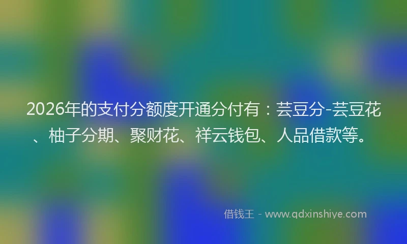 2026年的支付分额度开通分付有：芸豆分-芸豆花、柚子分期、聚财花、祥云钱包、人品借款等。