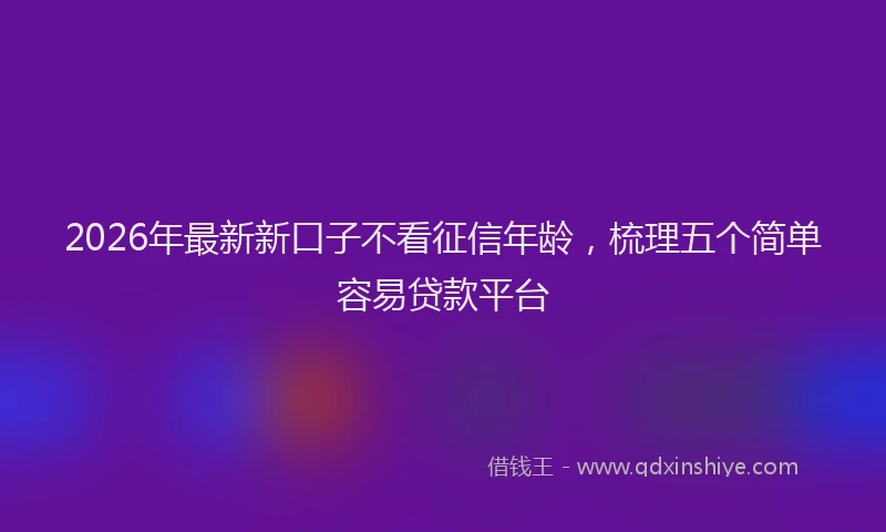 2026年最新新口子不看征信年龄，梳理五个简单容易贷款平台