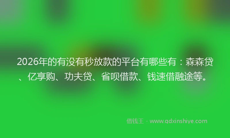 2026年的有没有秒放款的平台有哪些有：森森贷、亿享购、功夫贷、省呗借款、钱速借融途等。