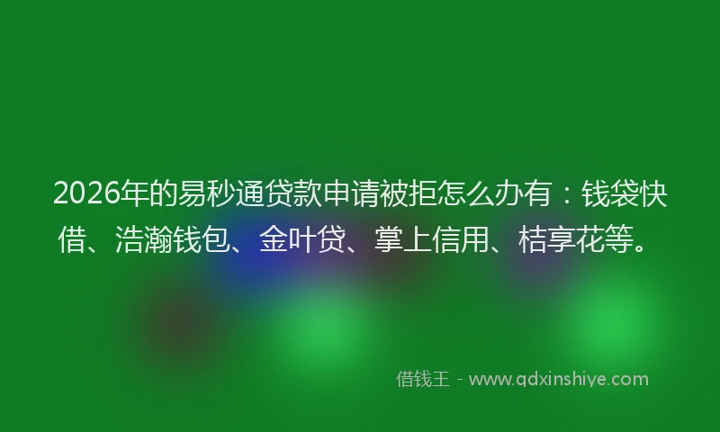 2026年的易秒通贷款申请被拒怎么办有：钱袋快借、浩瀚钱包、金叶贷、掌上信用、桔享花等。