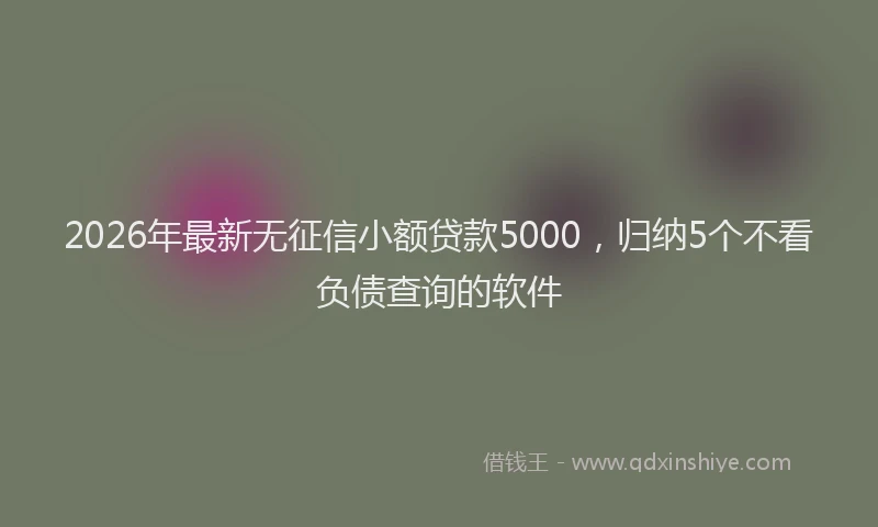 2026年最新无征信小额贷款5000，归纳5个不看负债查询的软件