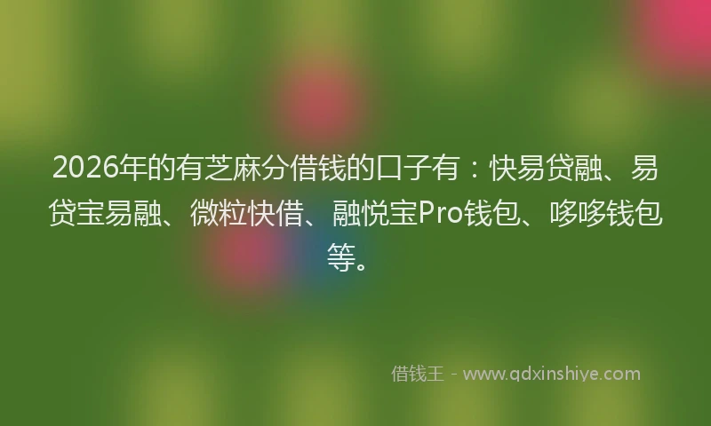 2026年的有芝麻分借钱的口子有：快易贷融、易贷宝易融、微粒快借、融悦宝Pro钱包、哆哆钱包等。
