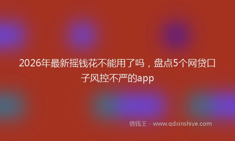 2026年最新摇钱花不能用了吗，盘点5个网贷口子风控不严的app