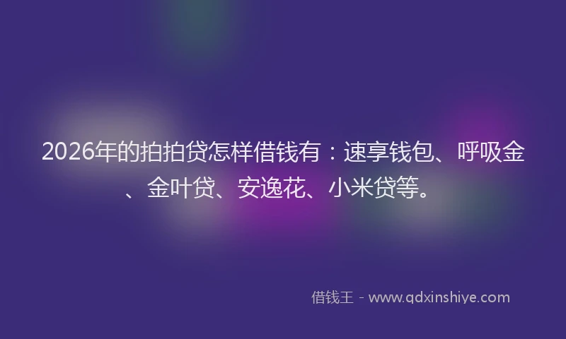 2026年的拍拍贷怎样借钱有：速享钱包、呼吸金、金叶贷、安逸花、小米贷等。