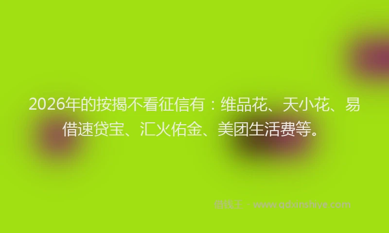 2026年的按揭不看征信有：维品花、天小花、易借速贷宝、汇火佑金、美团生活费等。