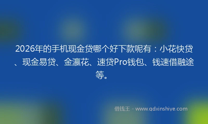2026年的手机现金贷哪个好下款呢有：小花快贷、现金易贷、金瀛花、速贷Pro钱包、钱速借融途等。