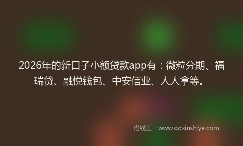 2026年的新口子小额贷款app有：微粒分期、福瑞贷、融悦钱包、中安信业、人人拿等。