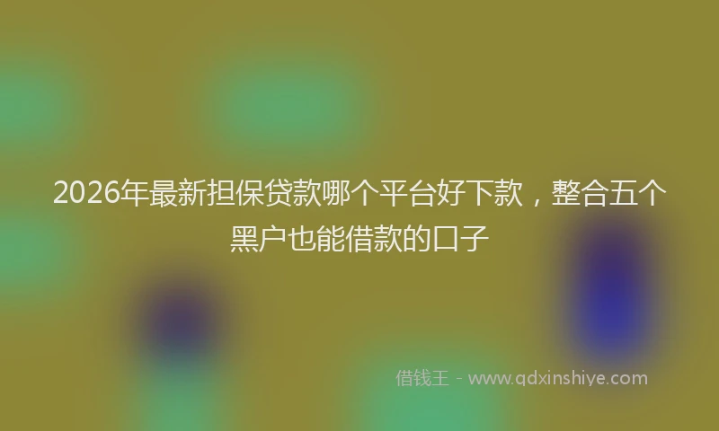 2026年最新担保贷款哪个平台好下款，整合五个黑户也能借款的口子
