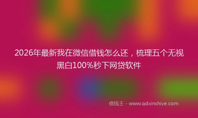 2026年最新我在微信借钱怎么还，梳理五个无视黑白100%秒下网贷软件