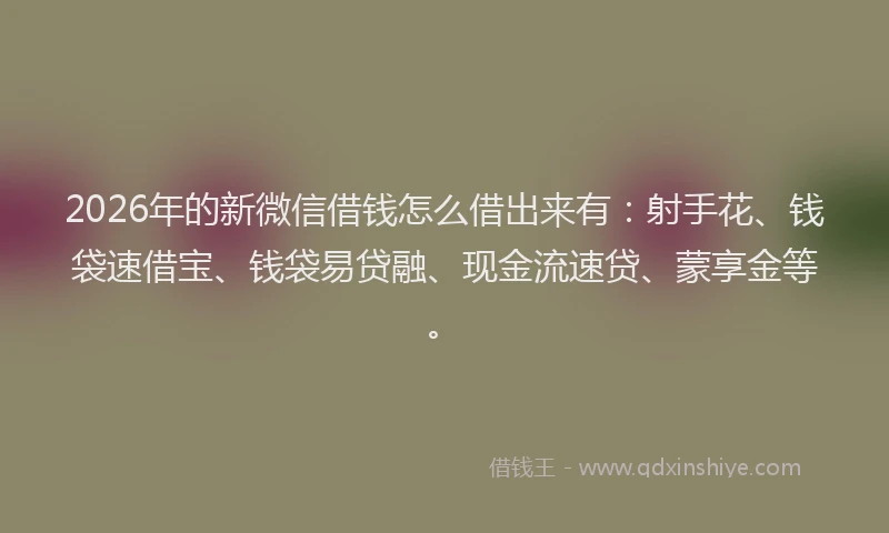 2026年的新微信借钱怎么借出来有：射手花、钱袋速借宝、钱袋易贷融、现金流速贷、蒙享金等。
