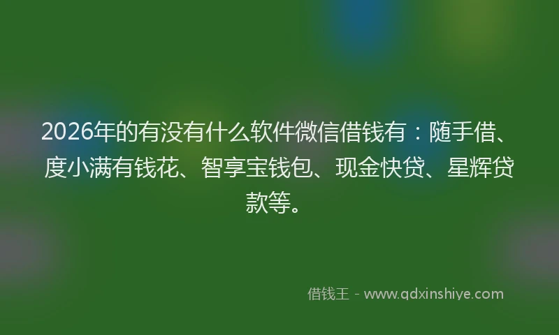 2026年的有没有什么软件微信借钱有：随手借、度小满有钱花、智享宝钱包、现金快贷、星辉贷款等。
