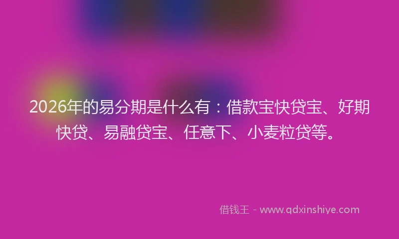 2026年的易分期是什么有：借款宝快贷宝、好期快贷、易融贷宝、任意下、小麦粒贷等。