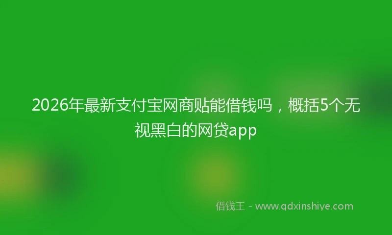 2026年最新支付宝网商贴能借钱吗，概括5个无视黑白的网贷app