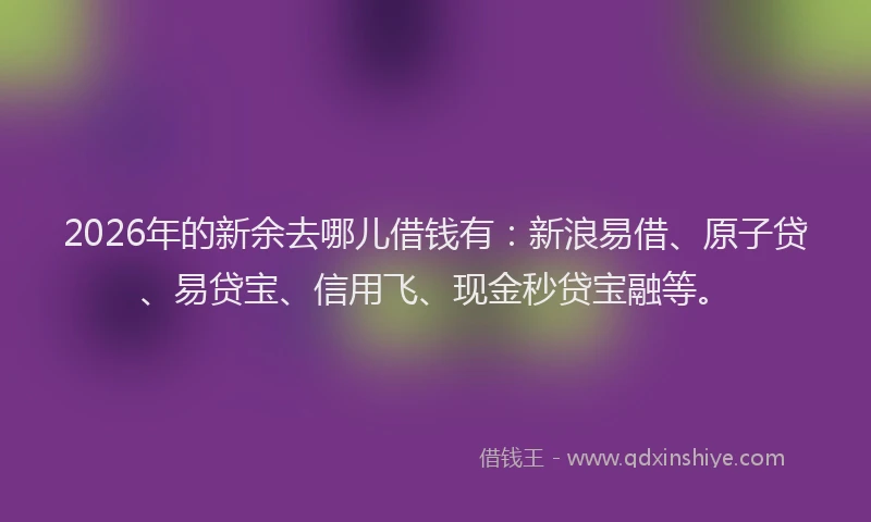 2026年的新余去哪儿借钱有：新浪易借、原子贷、易贷宝、信用飞、现金秒贷宝融等。